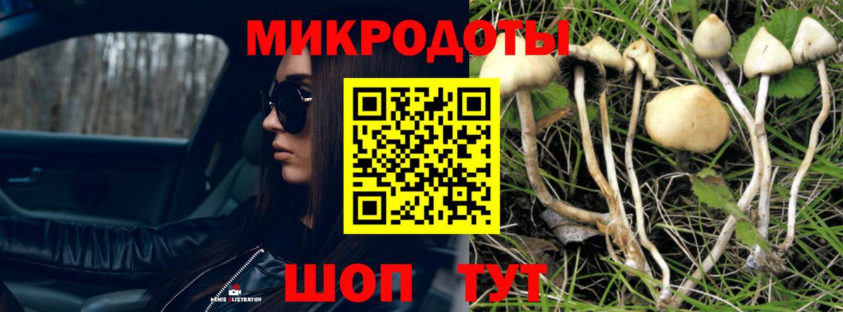 купить   Галлюциногенные грибы мухоморы  Вход с VPN  Галлюциногенные грибы Psilocybe  Ростов-на-Дону 