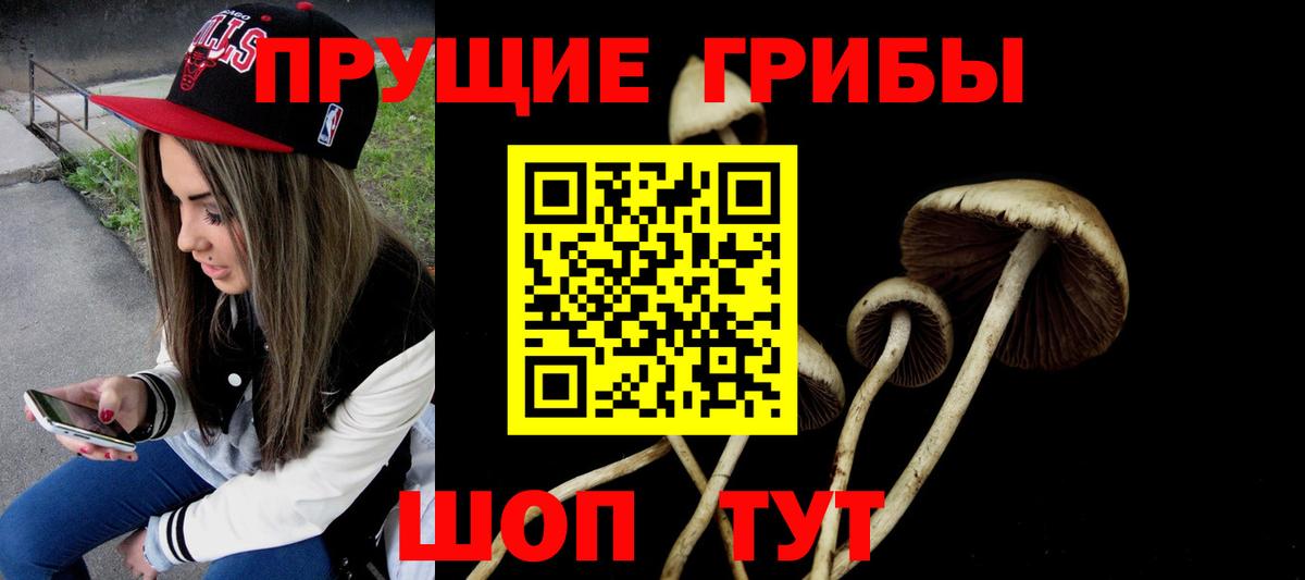 Галлюциногенные грибы Cubensis Ростов-на-Дону